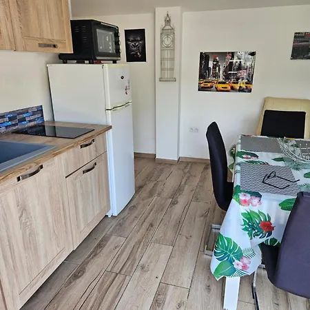 Des Lions Le Grau-dʼAgde