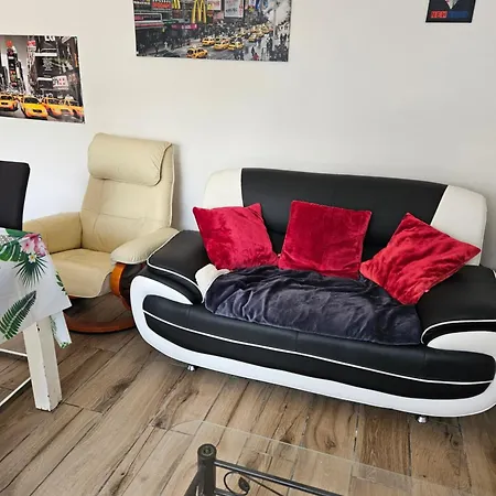 Des Lions Le Grau-dʼAgde