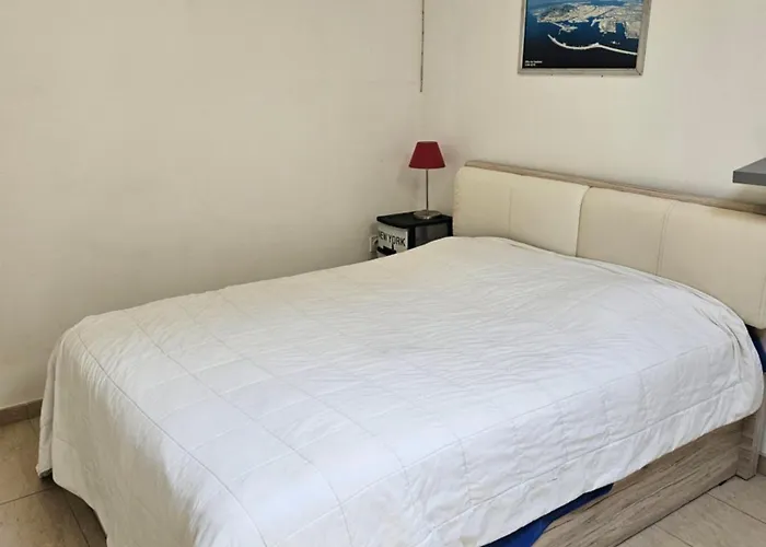 Des Lions Le Grau-dʼAgde